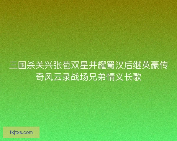 三国杀关兴张苞双星并耀蜀汉后继英豪传奇风云录战场兄弟情义长歌