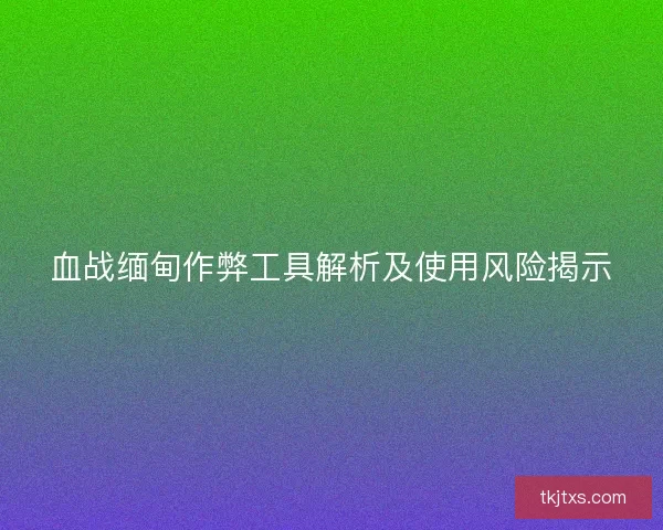 血战缅甸作弊工具解析及使用风险揭示