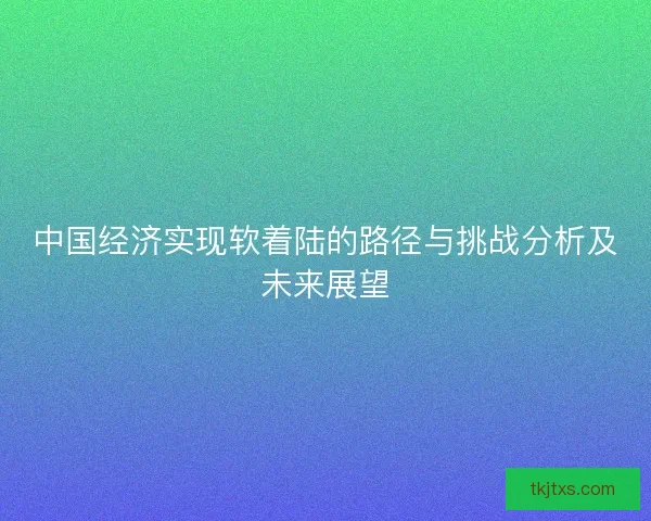中国经济实现软着陆的路径与挑战分析及未来展望