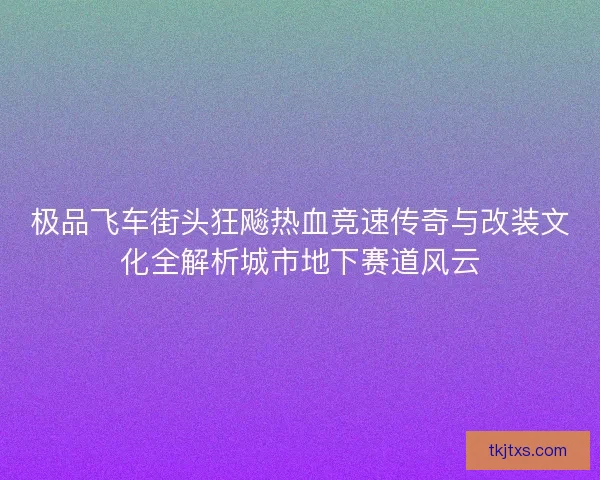 极品飞车街头狂飚热血竞速传奇与改装文化全解析城市地下赛道风云 极品飞车街头狂飚热血竞速传奇与改装文化全解析城市地下赛道风云