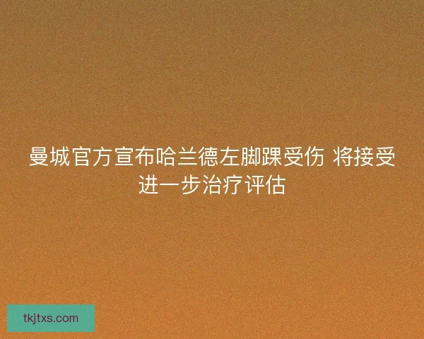 曼城官方宣布哈兰德左脚踝受伤 将接受进一步治疗评估 曼城官方宣布哈兰德左脚踝受伤 将接受进一步治疗评估